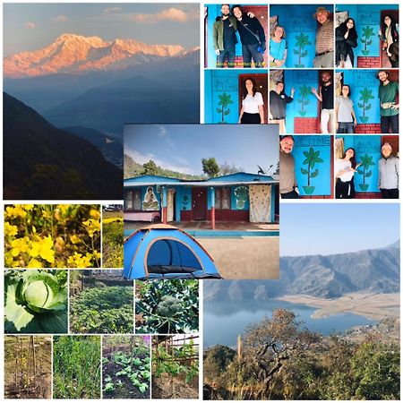 Hom'S Homestay & Farmstay Sarangkot Pokhara Extérieur photo